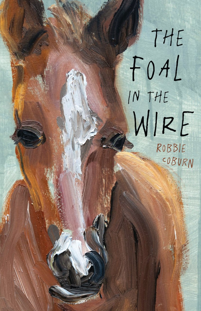 The Foal in the Wire — cover